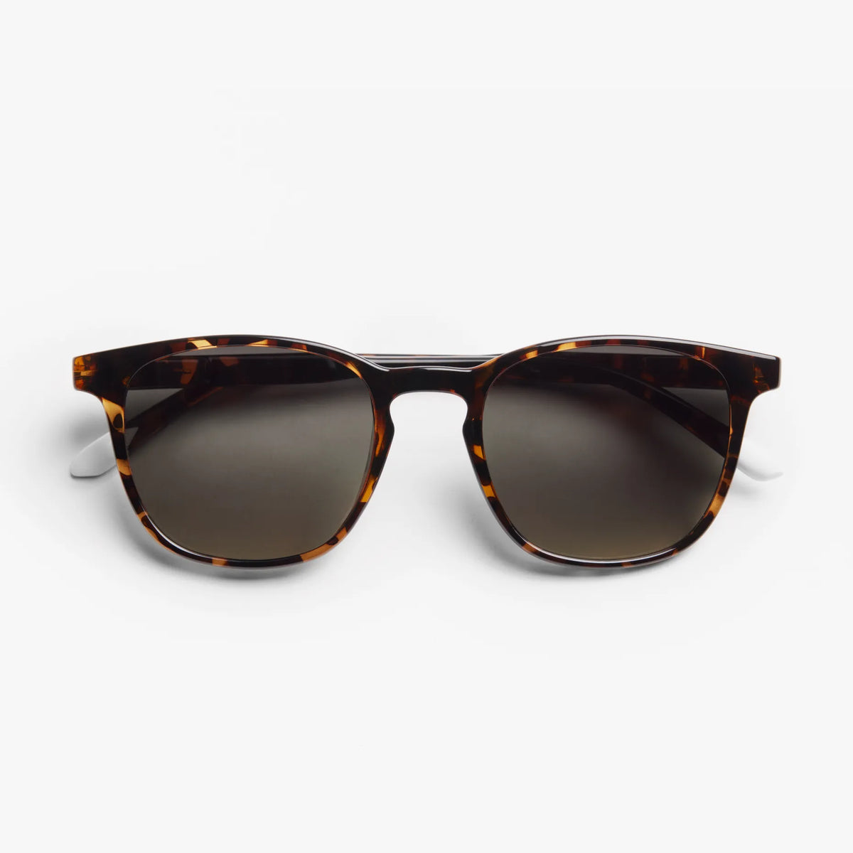 Sun - Dalston Glossy