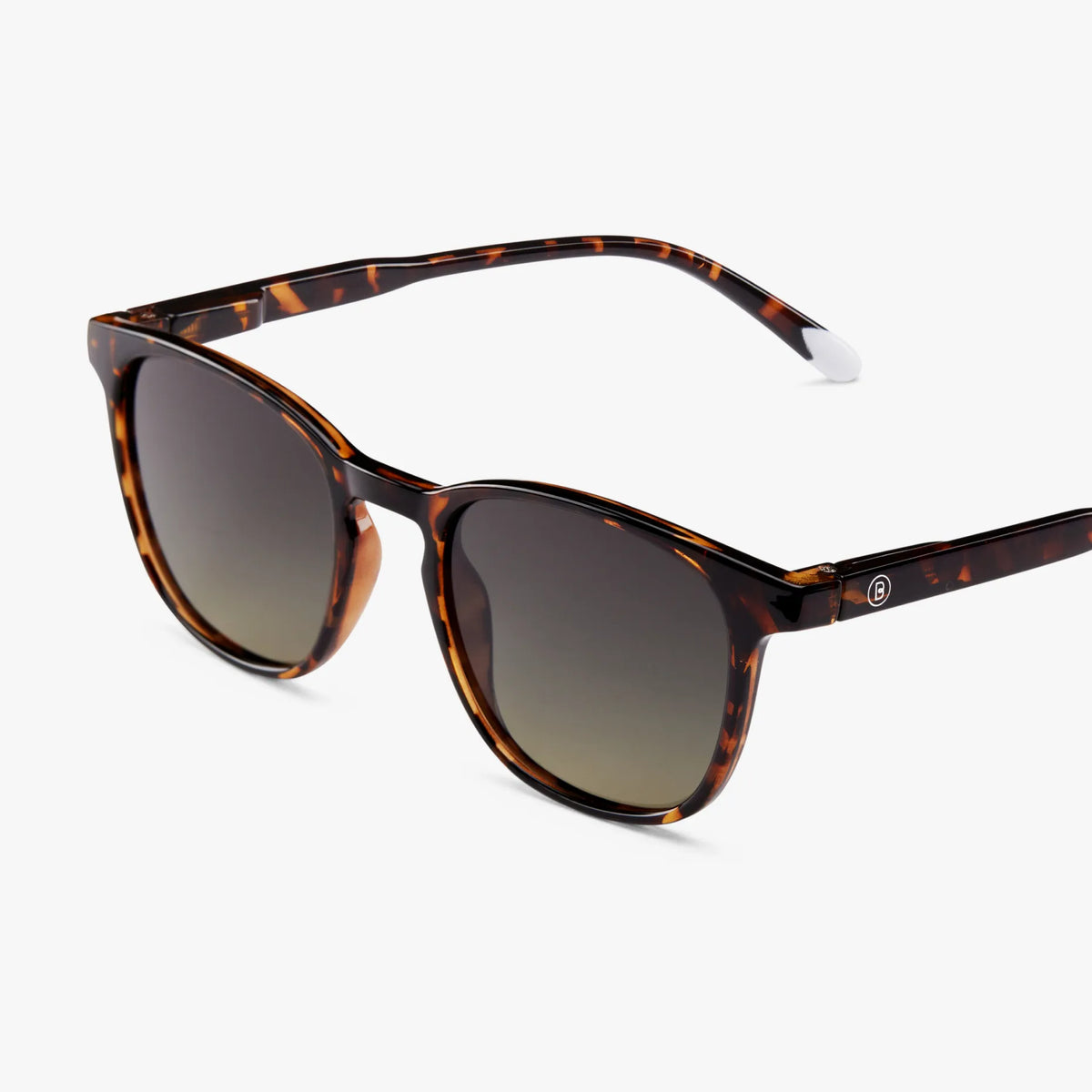 Sun - Dalston Glossy